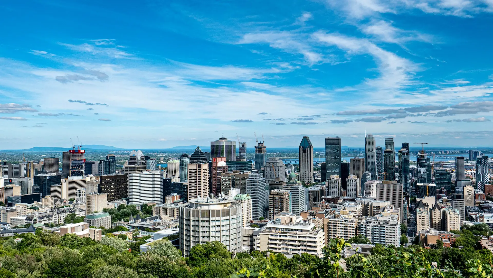 Professionnels d'affaires en réunion